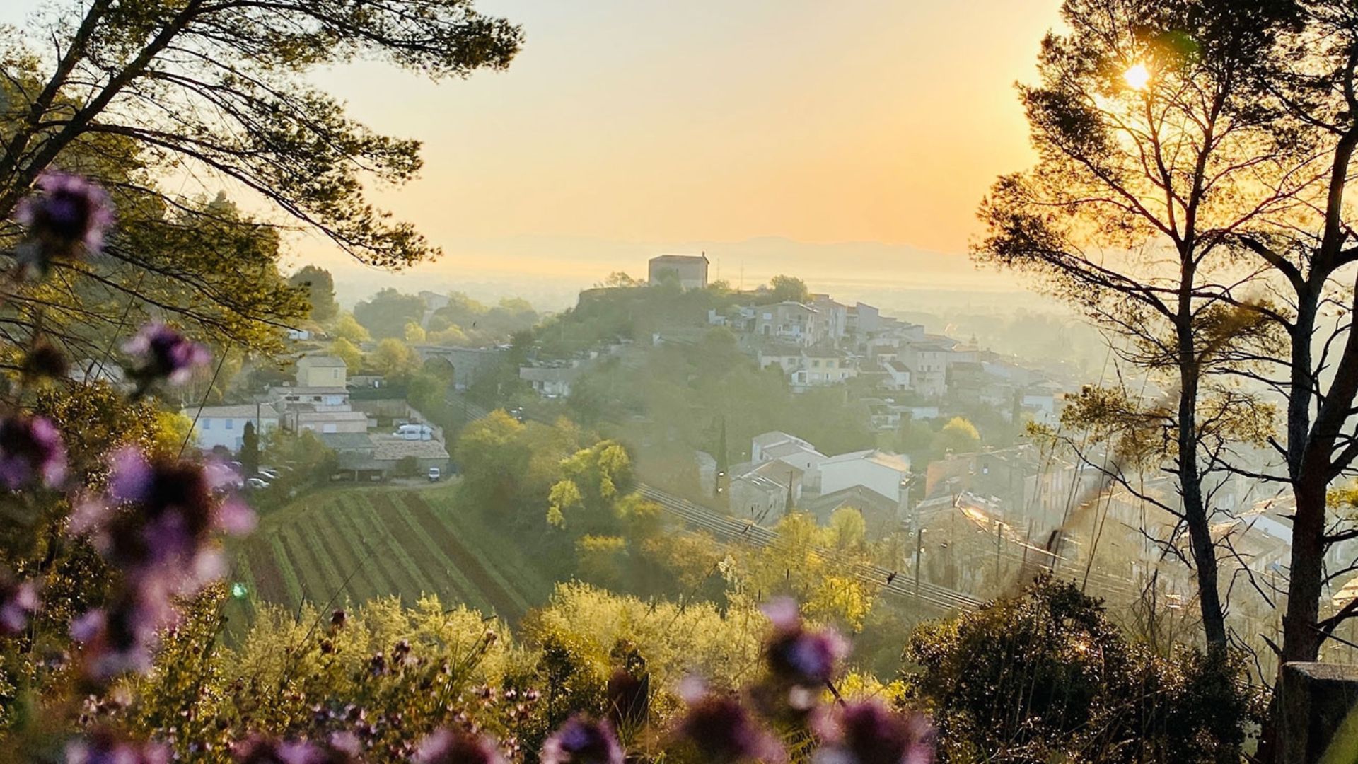 Pourquoi investir dans l'immobilier à Gonfaron ? Le guide immobilier