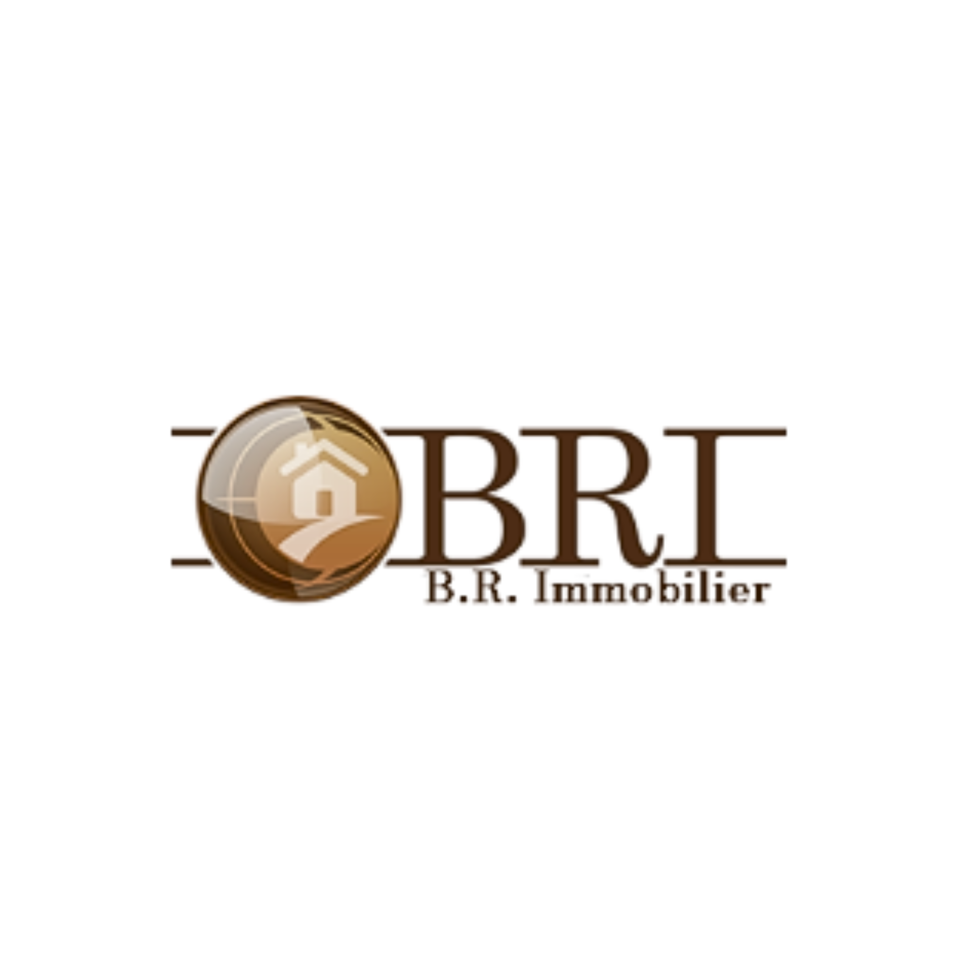 BR IMMOBILIER