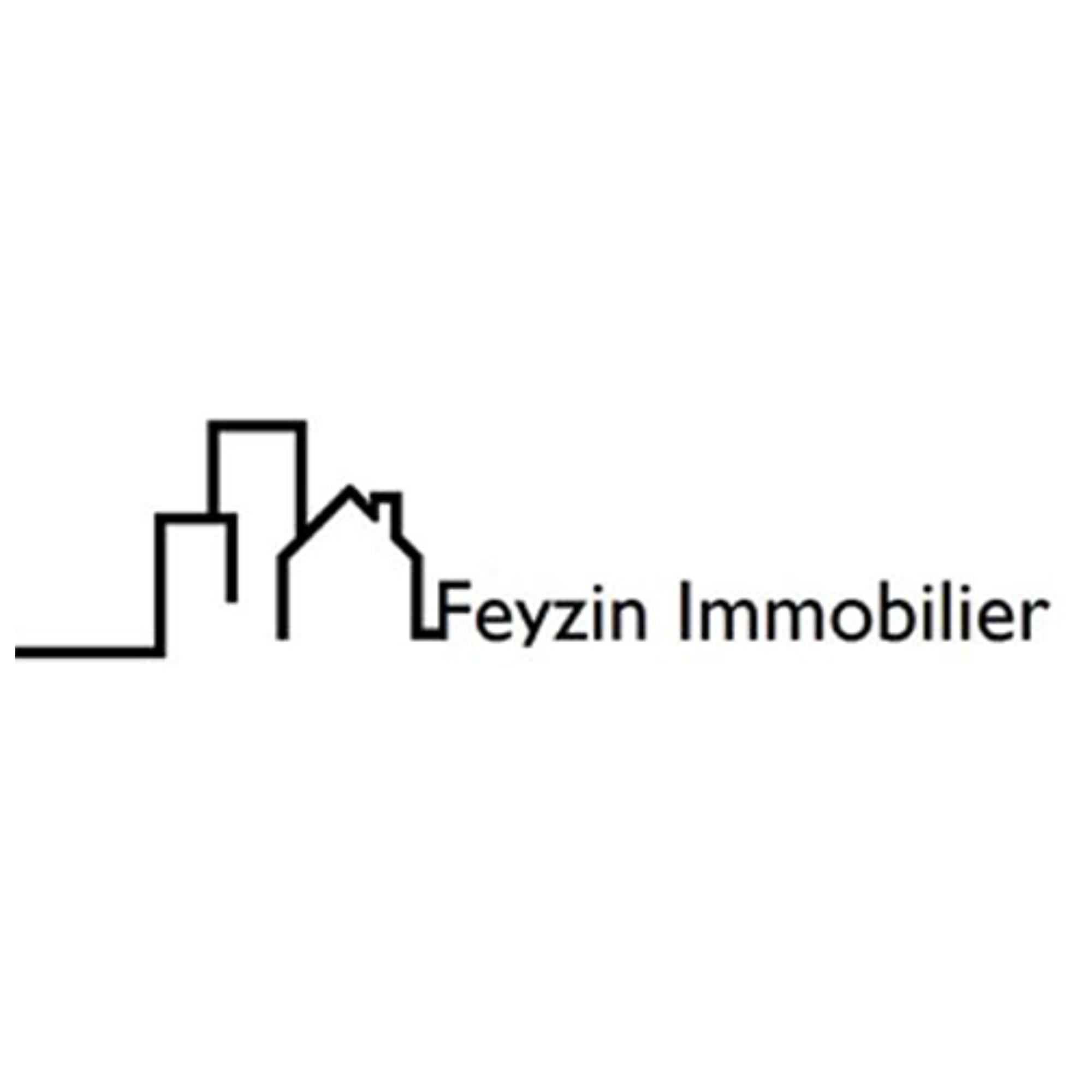 FEYZIN IMMOBILIER