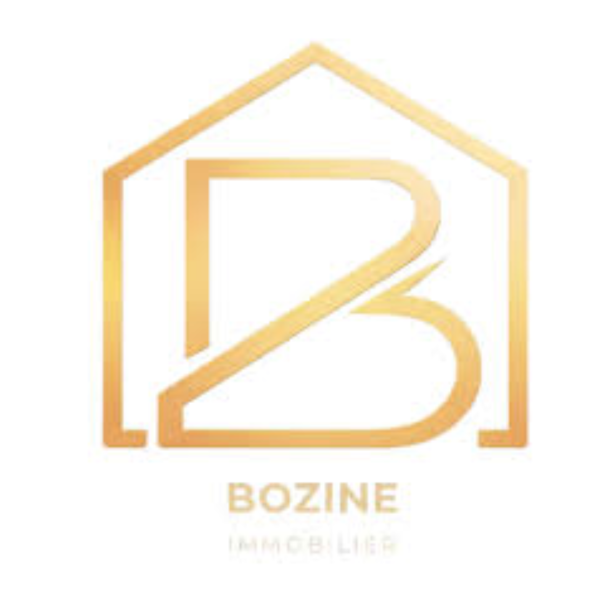 BOZINE IMMOBILIER