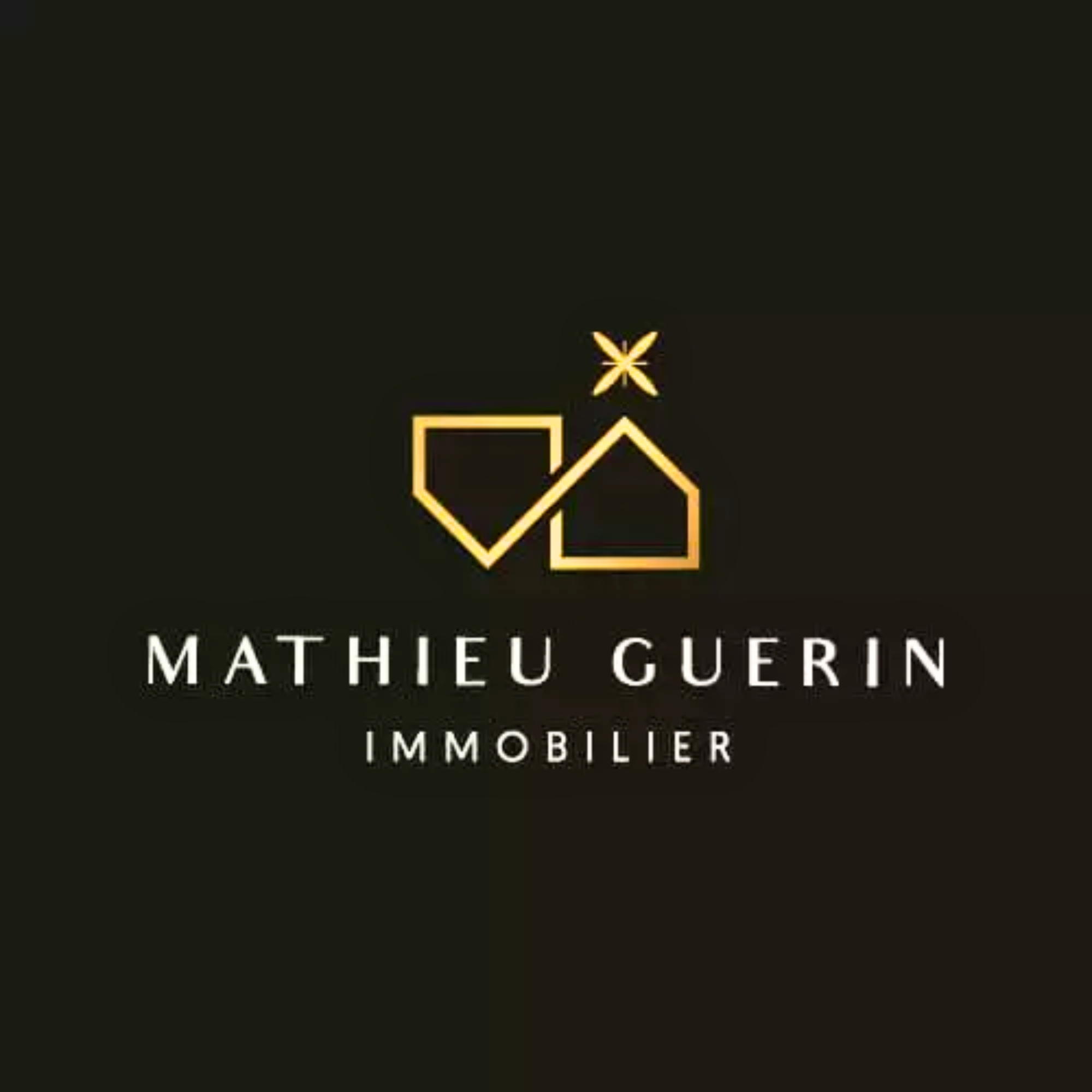MATHIEU GUERIN IMMOBILIER