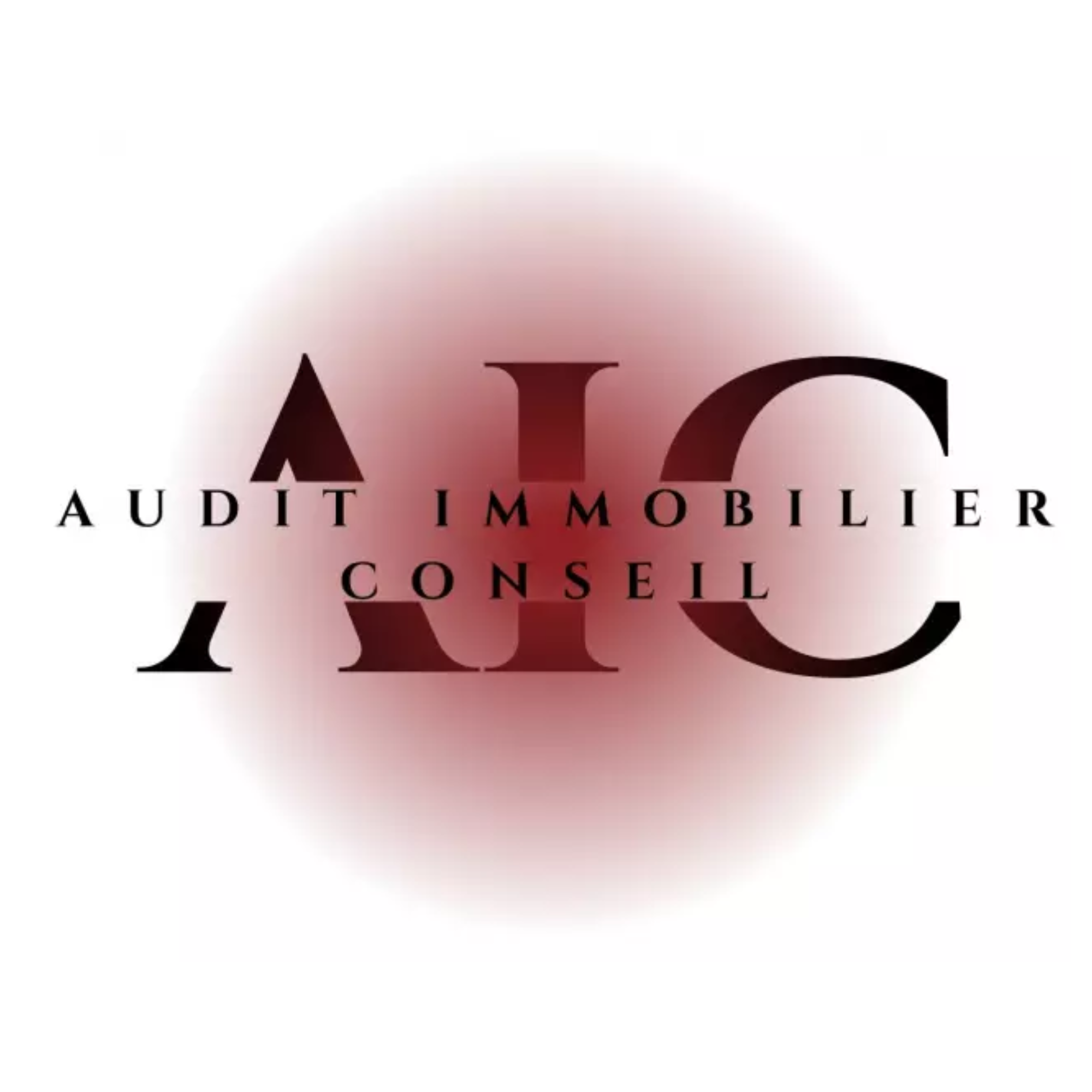 AUDIT IMMOBILIER