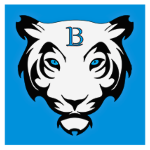 HOLDING FINANCIERE BENICIMMO